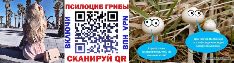 Галлюциногенные грибы Psilocybine cubensis  Пучеж 